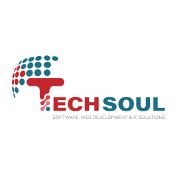 Techsoul Software & IT solutions